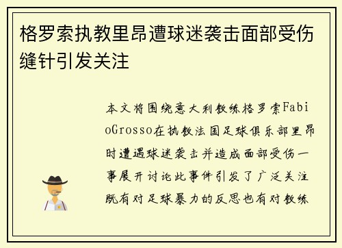 格罗索执教里昂遭球迷袭击面部受伤缝针引发关注